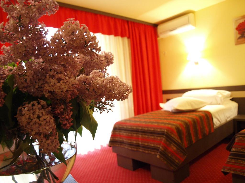 Hotel Dana Amara Bilik gambar